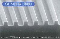 SEM画像(薄膜)