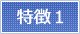特徴1