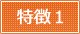 特徴1