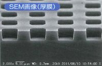 SEM画像(厚膜)